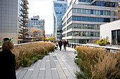High line, park built on an elevated section of a disused railroad, downtown, Manhattan, New York City, USA, America