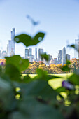 Autumn in Central Park, Sheep Meadow, Skyline, Manhattan, New York City, USA, America