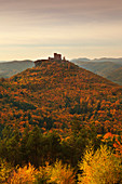 Burg Trifels, bei Annweiler, Naturpark Pfaelzer Wald, Rheinland-Pfalz, Deutschland