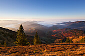 View from Belchen over Kleines Wiesental towards the Alps, Black Forest, Baden-Wuerttemberg, Germany