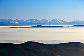 Blick vom Belchen ueber den Nebel bis zu den Alpen, Suedlicher Schwarzwald, Baden-Wuerttemberg, Deutschland