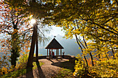 Aussichtspunkt ueber dem Muenstertal, Suedlicher Schwarzwald, Baden-Wuerttemberg, Deutschland