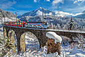 Bernina Express passes through the snowy woods around Filisur, Canton of Grisons Graubunden, Switzerland, Europe