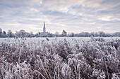 Salisbury Cathedral at dawn in winter, Salisbury, Wiltshire, England, United Kingdom, Europe