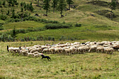 Hiking and Trail Running the Italian Alta Via 1