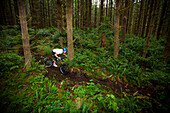 Mountain biking through a lush forest.