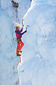 A man ice climbing a frozen waterfall in the Ouray Ice Park, Ouray, Colorado.