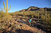 Woman trail running in Usery Mountain Park, Phoenix, Arizona November 2011.  The park is known for spring wildflowers and varieties of cactus.