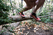 Trail runner moving over a downed tree across a trail.