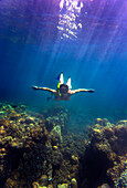 Young woman snorkeling in ocean.