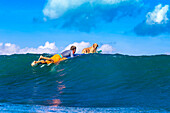 Surfer with a dog on the surfboard.