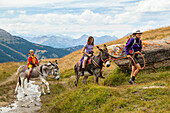 Eselswanderung im Queyras, Alpen, Frankreich, Europa