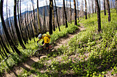 Danny Walton, Warm Springs Trail, Baldy Mountain, Sun Valley, ID