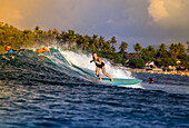 Surfer girl on a wave.