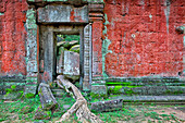 The famous temple of Ta Prohm at Angkor, Cambodia where the roots of the jungle trees intertwine with the masonry of these ancient structures.