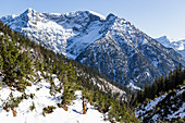 Skitourengeher mit Jagdhund im Ammergauer Gebirge, im HIntergrund die Geierköpfe, Tirol, Österreich