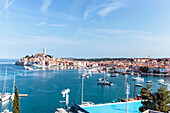 Hafen und Altstadthügel von Rovinj, Istrien, Kroatien