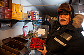 Strawberries offered by the Fruitman in Tuktoyaktuk in wintertime, Inuvik region, Northwest Territories, Canada