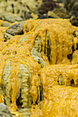 Solidified sulfur from the sulfur source of the active volcano Ijen - Indonesia, Java