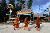 Bettelmönche am Sunrisebeach, Insel Lipe, Andaman Sea, Süd- Thailand, Thailand