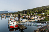 Queen Charlotte City Harbor, Bearskin Bay, Haida Gwaii Queen Charlotte Islands, British Columbia, Canada, North America
