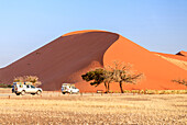 The jeep around Dune 45 composed of 5 million years of sand, Sossusvlei, Namib Desert, Namib Naukluft National Park, Namibia, Africa