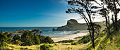 Deliverance Cove, Castlepoint, Wellington Region, North Island, New Zealand, Pacific