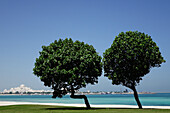 Bäume, VAE Präsidentenpalast, Presidental Palace, Abu Dhabi, Vereinigte Arabische Emirate