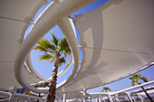 Palme, Parkplatz, Yas Mall, Abu Dhabi, Vereinigte Arabische Emirate, VAE