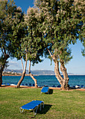 Sun loungers on the beach with grass, Crete, Greece, Europe, Mediterranean Sea