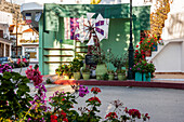 Flowers with wind wheel decoration, Village in Crete, Greece, Europe, Mediterranean Sea