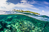 Half above and half below on a remote small Islet in the Badas Island Group off Borneo, Indonesia, Southeast Asia, Asia