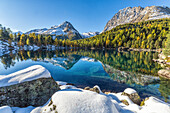 Colorful woods and snowy peaks reflected in Lake Saoseo, Poschiavo Valley, Canton of Graubunden, Swizterland, Europe