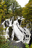 Swallow Falls in autumn, near Betwys-y-Coed, on River Llugwy, Conwy, Wales, United Kingdom, Europe
