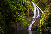 Wigmore's Waterfall, Rarotonga, Cook Islands, South Pacific, Pacific