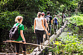Amazon Jungle walk in Puerto Maldonado area at Tambopata National Reserve, Tambopata Province, Peru, South America