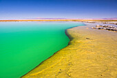 Laguna Cejar floating salt lake lagoon, Atacama Desert, North Chile, Chile, South America