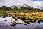 Arakur Nature Reserve, Hotel Arakur Ushuaia Resort and Spa, Ushuaia, Tierra del Fuego, Patagonia, Argentina, South America
