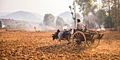 Farming between Inle Lake and Kalaw, Shan State, Myanmar Burma, Asia