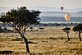 Hot air ballons lifting up in the sunrise light in the Maasai Mara, Kenya, East Africa, Africa