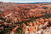 Bryce Canyon National Park Utah, United States of America, North America