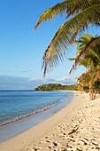 Beach on Mana Island, Mamanuca Islands, Fiji, South Pacific, Pacific