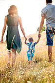 Parents Walking With Young Son in Field, Rear View