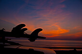 Silhouette of Surfboard on Car at Sunset