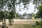 Houses along the green outskirts of Hittfeld, Seevetal, Niedersachsen, Germany