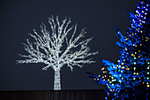 Twinkling Christmas tree at the Reeperbahn in Hamburg, north Germany, Germany