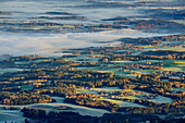 Morning mood with fog in Chiemgau, view from Hochries, Hochries, Chiemgau, Chiemgau Alps, Upper Bavaria, Bavaria, Germany