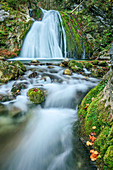 Waterfall, Samerberg, Chiemgau, Chiemgau Alps, Upper Bavaria, Bavaria, Germany
