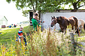 Two year old girl and five year old boy feeding a horse with their father, bicycle tour, Family, Baltic sea, MR, Bornholm, Denmark, Europe