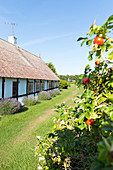 Bauernhaus, Fachwerkhaus, Ferienhaus, Dänische Ostseeinsel, Ostsee, Insel Bornholm, bei Balka Strand, bei Snogebaek, Dänemark, Europa